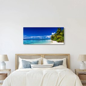 Obraz tropickej pláže (120x50 cm)