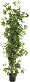 Umelá rastlina Cissus Column stĺp 100 cm