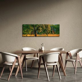 Obraz žirafy v prírode (s hodinami) (90x30 cm)