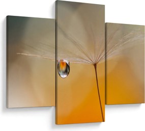 Obraz - Makro kvetu (90x60 cm)
