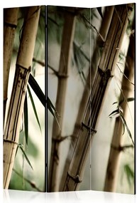 Artgeist Paraván - Fog and bamboo forest [Room Dividers]