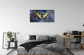 Sklenený obraz Motýľ na kvetine 120x60 cm