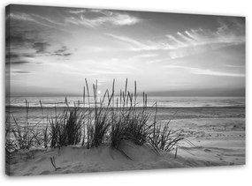 Obraz na plátně Travnatá pláž šedá - 100x70 cm