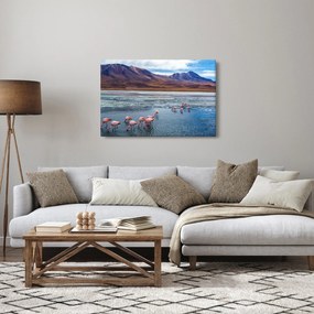 Obraz - Plameniaky (90x60 cm)