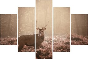 Obraz - Jeleň v lese (150x105 cm)