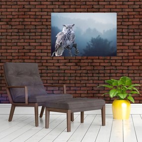 Obraz - Sova snežná (90x60 cm)