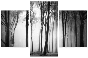 Obraz - Vlk v temnom lese (90x60 cm)
