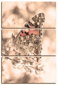 Obraz na plátne - Motýľ na levandule - obdĺžnik 7221FB (120x80 cm)