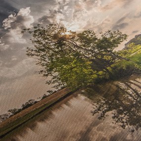 Obraz prírody s lúčmi (120x50 cm)