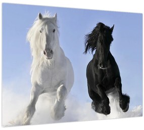 Obraz - Kone v zime (70x50 cm)