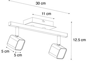 Moderné stropné svietidlo čierne vrátane LED 2-svetlo - Nola