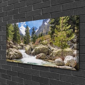 Obraz Canvas Hora les kamene rieka 100x50 cm