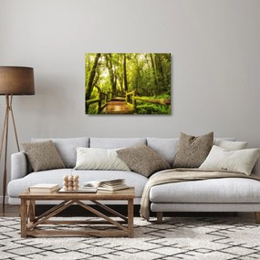 Sklenený obraz machové džungle (70x50 cm)