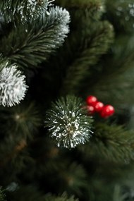 Limpol Borovica Iza s červenými bobuľami Slim Výška stromčeka: 180 cm