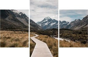 Obraz - Chodník v údolí hory Mt. Cook (90x60 cm)