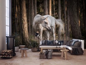 Fototapeta - Biely kôň v lese (254x184 cm)