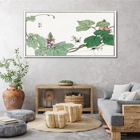 Obraz na plátne Ázijské hmyz listy
