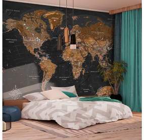 Samolepiaca fototapeta World Stylish Map