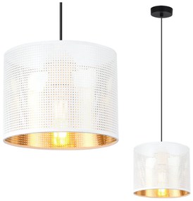 Závesné svietidlo Asti0, 1x biele PVC tienidlo, (fi 20cm), g, b