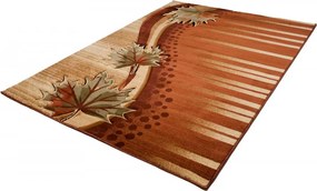 TA Koberec C657A HNEDÁ ANTOGYA Rozmer: 60x100 cm