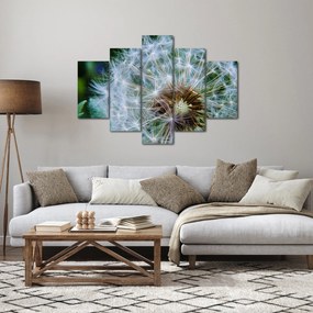 Obraz odkvitnutej púpavy (150x105 cm)