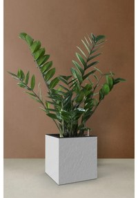 Flower Lover Samozavlažovací kvetináč Cubico Stone biela, 27 cm, 27 cm