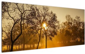 Obraz - Východ slnka (120x50 cm)