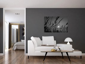 Obraz - Lúka so západom slnka (90x60 cm)
