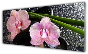 Obraz plexi Kvety orchidea kamene zen 125x50 cm