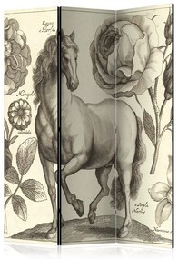 Artgeist Paraván - Horse [Room Dividers]