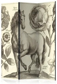 Artgeist Paraván - Horse [Room Dividers]