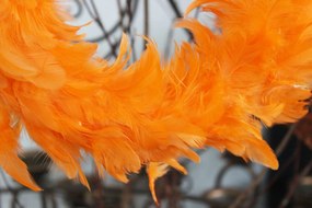 Oranžový závesný veniec z pierok 25cm