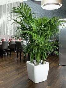 Quadro LS 43/40 all inclusive set white