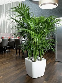 Quadro LS 43/40 all inclusive set white