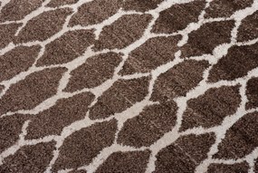 TA Koberec H071B HNEDÉ SARI BRH Rozmer: 60x100 cm