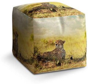 Sablio Taburet Gepard: 40x40x40 cm