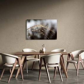 Obraz kvapiek na rastline (90x60 cm)