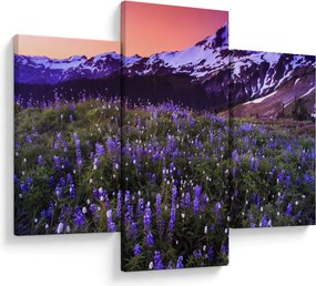 Obraz - Sopka a kvety (90x60 cm)