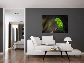 Obraz zeleného papagája