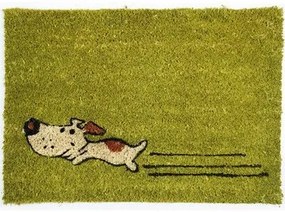 BO-MA, Rohožka Kokos Zelený pes – na von aj na doma, 40x60, zelená, chodba / predsieň