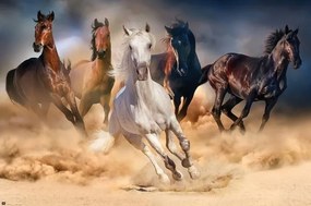 Plagát, Obraz - Kone - Five horses, (91.5 x 61 cm)