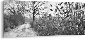 Obraz - Pole v zime (120x50 cm)
