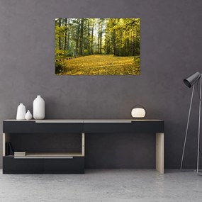 Obraz - les v jeseni (90x60 cm)