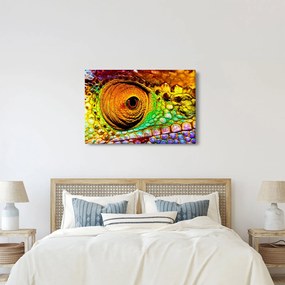 Obraz - Chameleon (90x60 cm)