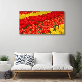 Obraz na plátne Tulipány kvety 125x50 cm