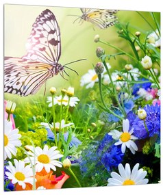Obraz letných kvetov s motýľom (30x30 cm)