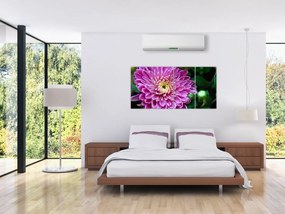Obraz kvetu na stenu