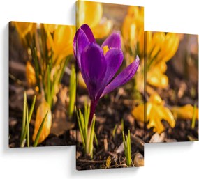 Obraz fialovej kvetiny (90x60 cm)
