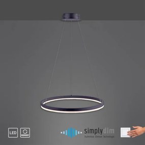 Paul Neuhaus 2382-13 - LED Stmievateľný luster na lanku TITUS LED/38,5W/230V