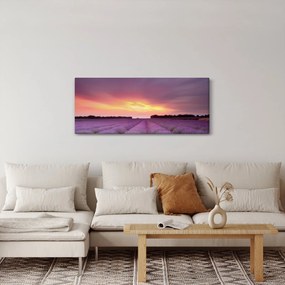 Obraz - Levanduľové pole (120x50 cm)